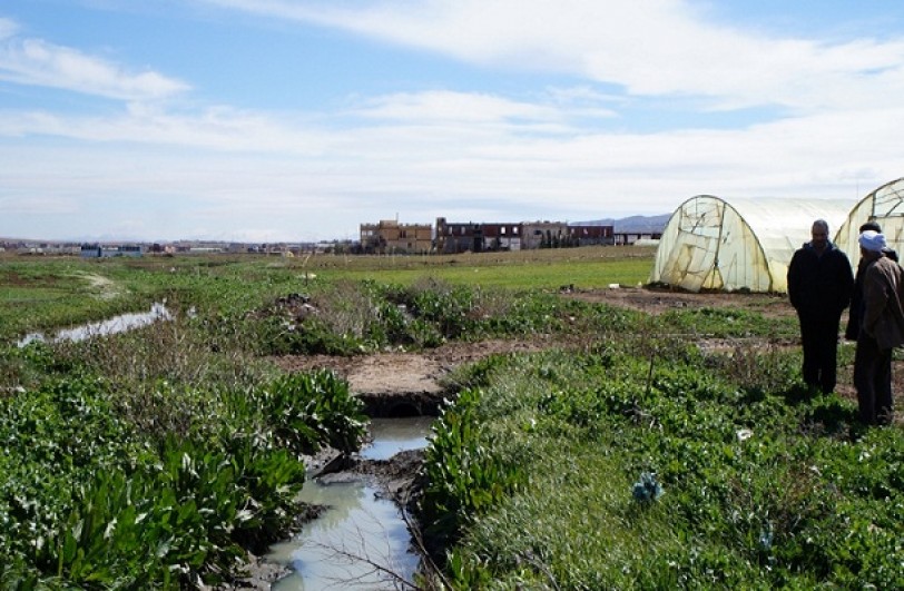 مياه الصّرف الصحي لريّ المزروعات: التلوث يقطع «نسل» التربة السورية