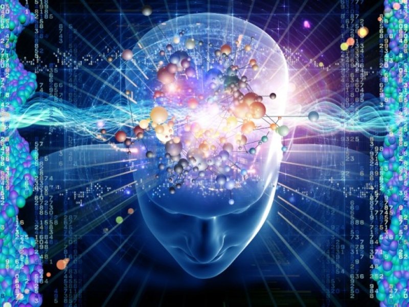 الدماغ يخزّن المعلومات أثناء النوم.. ولكن بشرط ؟!