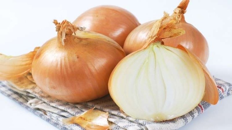أهم الفوائد الصحية للبصل