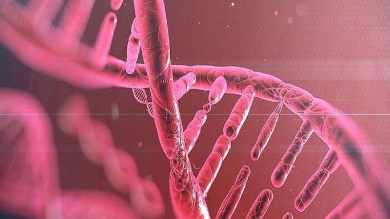 دراسة إطلاق رواد فضاء «معدلين وراثياً» إلى الفضاء
