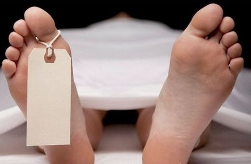 دراسة: التوصل إلى آلية تعيد الميت إلى الحياة