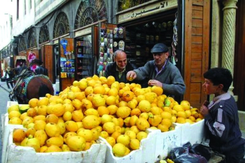 43 ألف ليرة صافي مربح دونم الحمضيات
