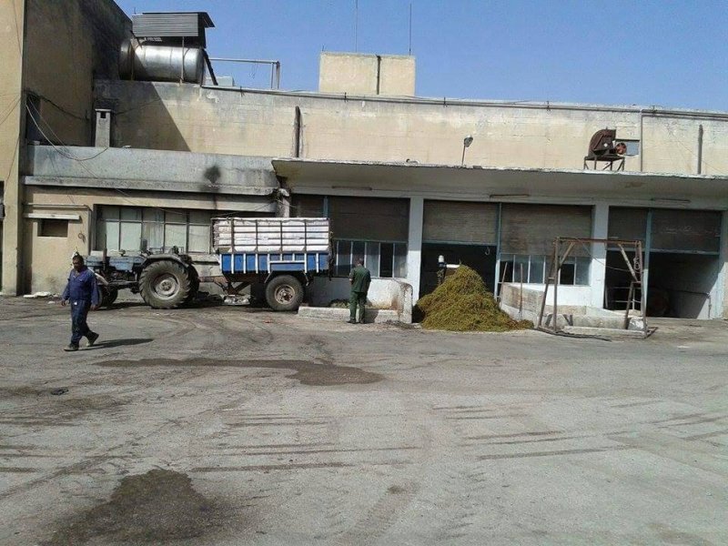 الشركة السورية لتصنيع العنب «الريان» في السويداء