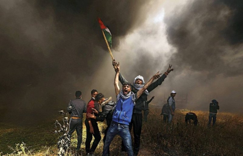 إرادة الشعوب على الطريقة الفلسطينية