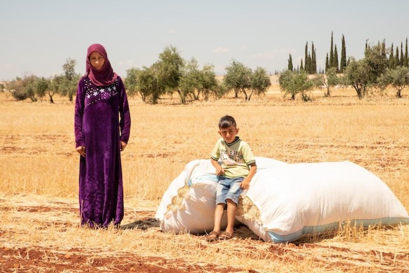 8.2 مليون: الحد الأدنى لتكاليف معيشة الأسرة في نهاية أيلول 2026