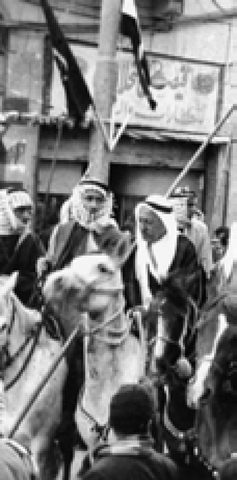 بين السيرقوني والسيكلما.. كيف نحاسب الرموز؟