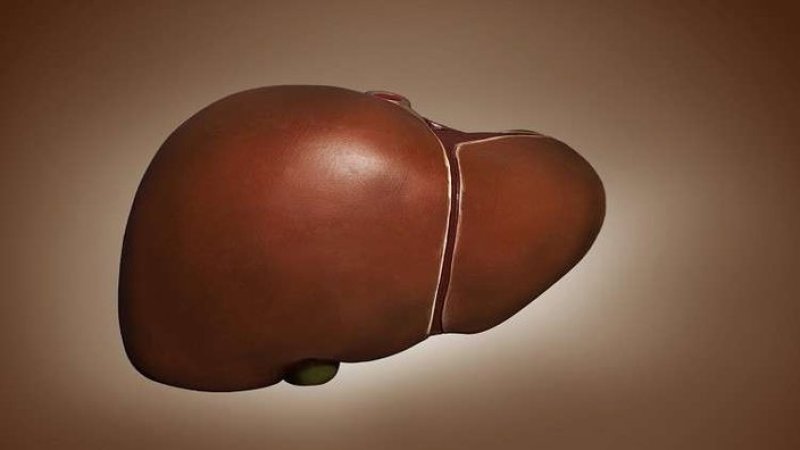 عوامل تؤثر سلباً في صحة الكبد