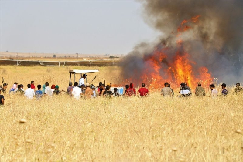Vandals in a Race Against the New Syria!