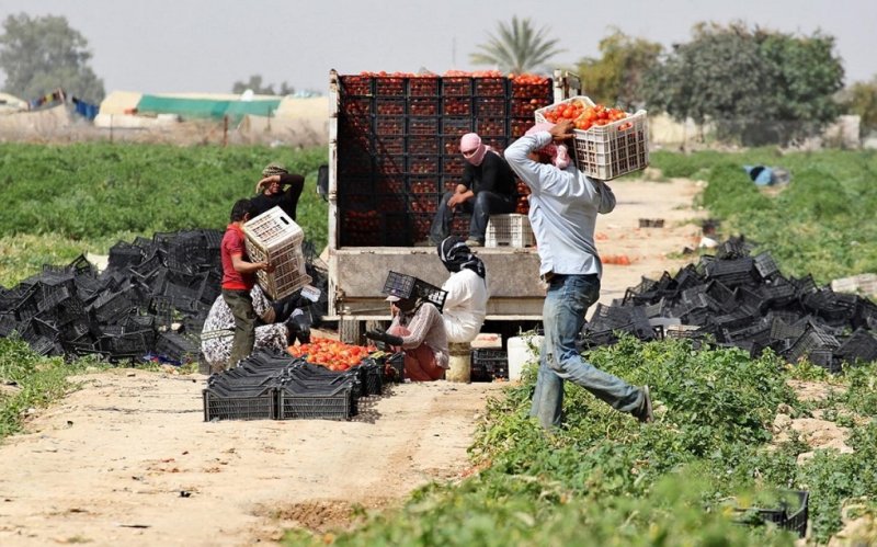 نصوص قانونية مغيَّبة في قانون العمل 17