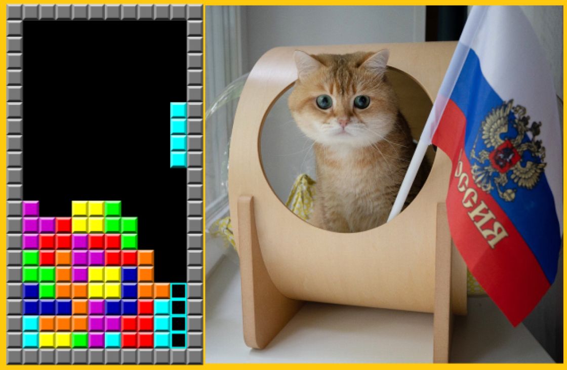 عقوبة على «القطط الروسية» تنال سخرية واسعة: التالية هي Tetris؟!